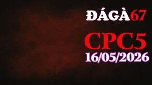 Clip trực tiếp đá gà CPC5 hôm nay 16052026