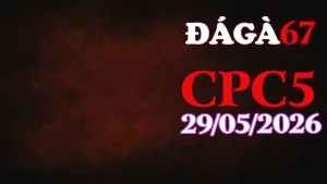 Clip video đá gà trực tiếp CPC5 hôm nay 29052026